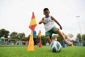 博彩行业的结构升级（博彩产业结构优化）